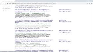 Google Scholar Search Demo