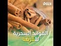 فوائد القرفة