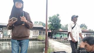 Download Lagu Sebela dua belas MP3