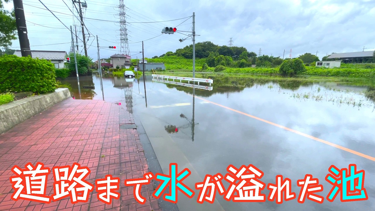 道路まで水があふれた池でヘラブナ釣りしたらヤバかった【埼玉県さいたま市 慈恩寺親水公園】