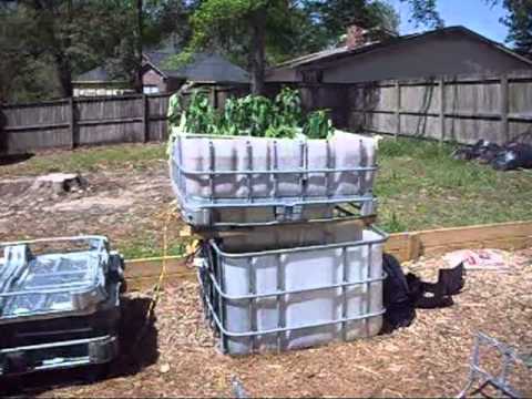 Single IBC tote Aquaponics system - YouTube