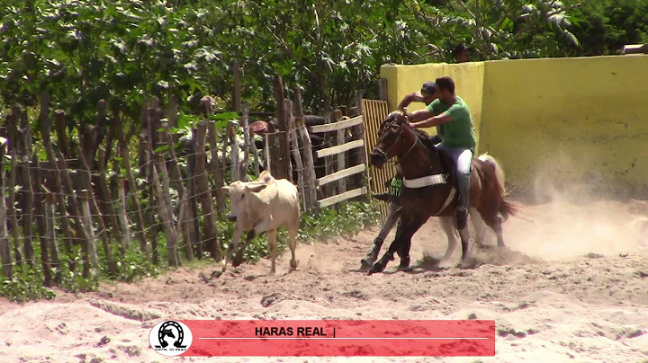 Manoel Alves - Haras Real (RN) 2021.05