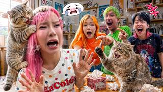 May's trauma with cats🐱 An unforgettable scar😵