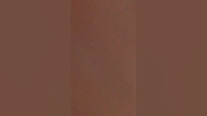 The second video