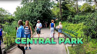 ⁴ᴷ⁶⁰ Walking NYC (Narrated) : Central Park from 5th Avenue - 59th Street to Belvedere Castle