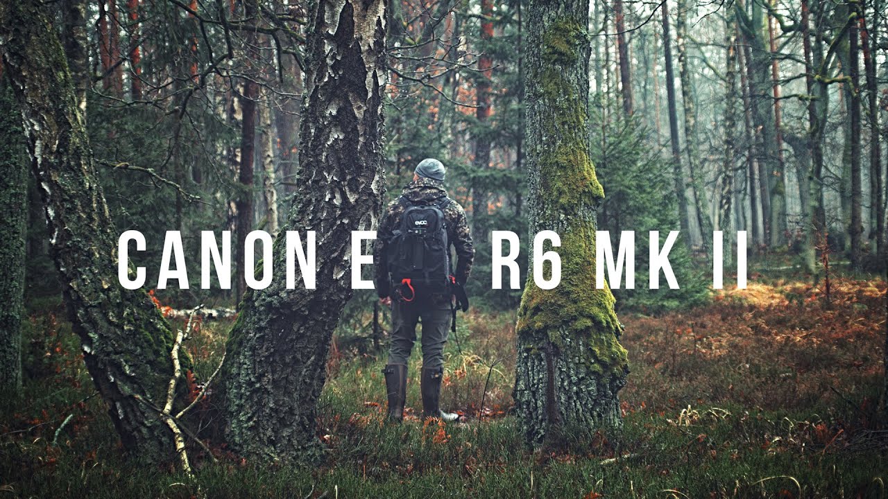 Canon EOS R6 mark II - PHOTOGRAPHING FOREST with vintage lens - YouTube