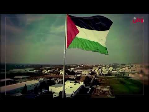 مباشر شد حيلك يا وطن في موجة مفتوحة وتغطية مستمرة على مدار الساعة غزة الصامدة غزة الأمل