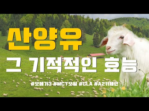 산양유의 기적적인 효능