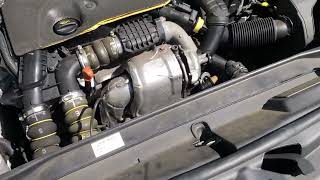 IMG 7726