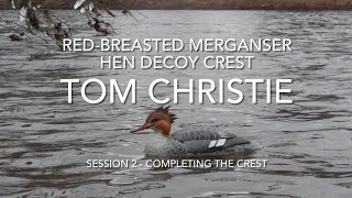 Red breasted Merganser Hen Crest Session 2 - Completing the Crest