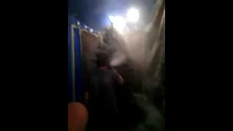 Flocking Christmas tree