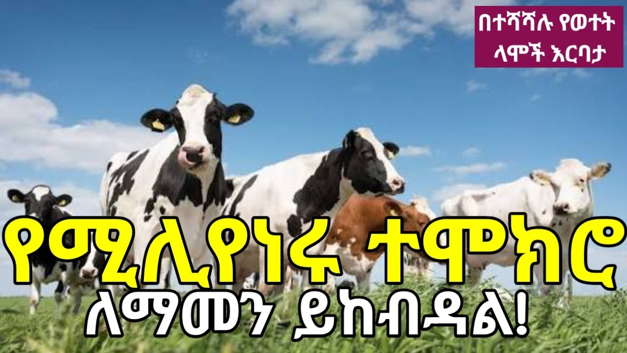 አስደናቂዉና አጓጊዉ የሚሊየነሩ አርብቶአደር የስኬት ተሞክሮ! ከቀን ሥራ ወደ ሚሊየነርነት ከተደረገ አጓጊ ጉዞ የተወሰደ ምርጥ ተሞክሮ!