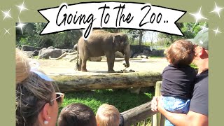 FUN TRIP TO THE ZOO | WHAT WILL WE FIND? | AUCKLAND ZOO