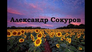 Александр Сокуров Александр Сокуров
