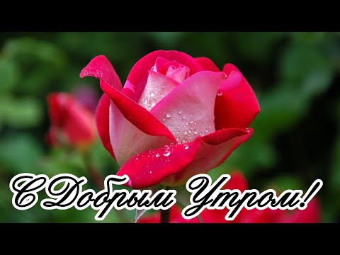 ❤️❤️❤️ПОЖЕЛАНИЕ НА ВЕСЬ ДЕНЬ❤️❤️❤️ С Добрым Утром Хорошего Дня. Доброе Утро! СТИХ