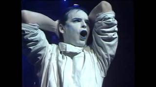 Gary Numan Cold Warning Berserker full set