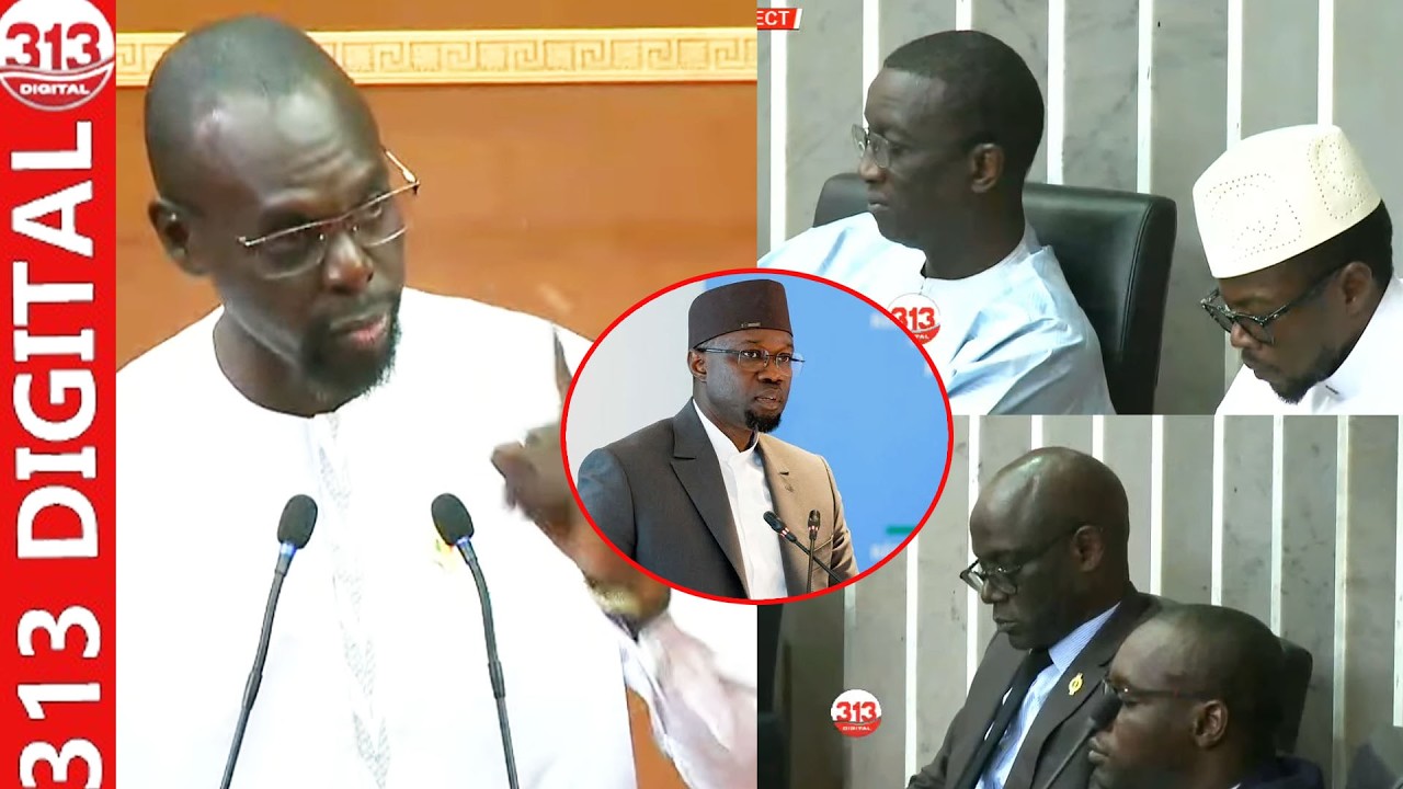 Ce député de Pastef enfonce Thierno Alassane Sall après ses propos «Ñiak diom…»