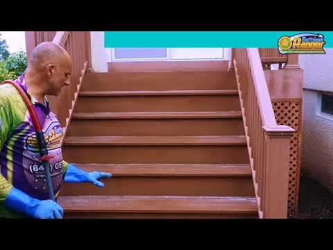 COMO LIMPAR SUA PLATAFORMA TREX