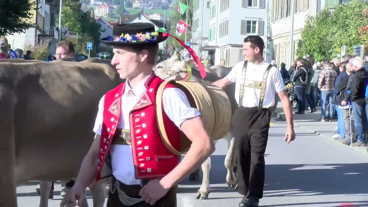 Viehschau Wolfhalden uffahrä 2025