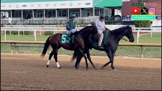 Bango Attempts to Set AllTime Churchill Downs Win Record in 2024 St. Matthews Stakes