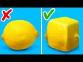 29 SIMPLE LIFE HACKS TO DECORATE YOUR FOOD || TRY SQUARED CITRUS