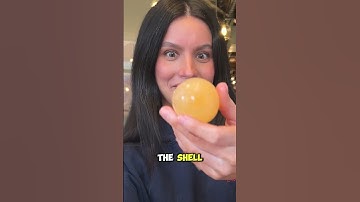 DIY Bouncy Egg Experiment! 🥚
