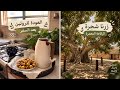 The Ancient Al-Raq'ah Tree🌳 | Post-Travel Routine🏡 | How to Keep Our Tongues Moist with the Remem...