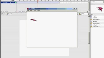 Flash Animation Bird Fly