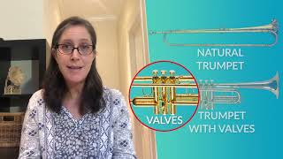 Meet the Brass Family