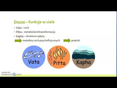 Wideo: Ajurwedyczne Leczenie Stosów: Rodzaje, Skuteczność I Ryzyko