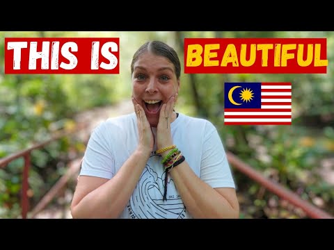 Video: Bird Park (Kuala Lumpur Bird Park) beskrivning och foton - Malaysia: Kuala Lumpur