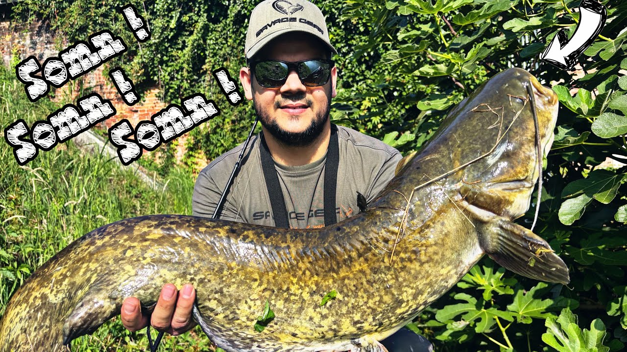 🎣Am prins somn mare pescuind la clean  🎣 Pescuit la somn cu voblere 🎣 Savage Gear SG 8 Revenge 🎣