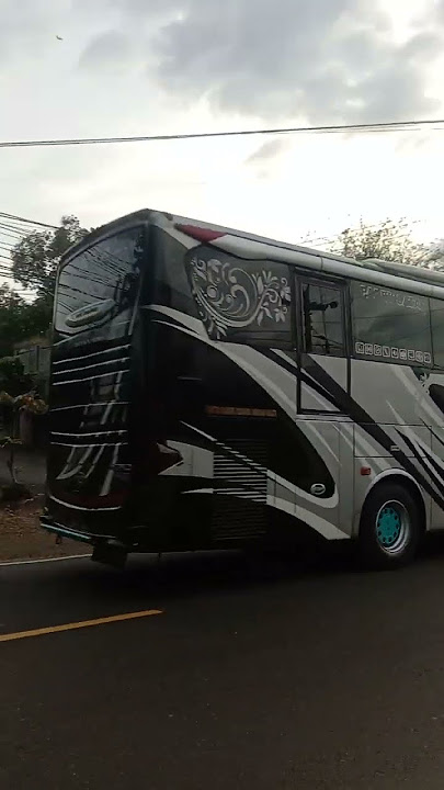 Bus ar rahman menyapa#mobilbasuri #busmania#automobile#viral