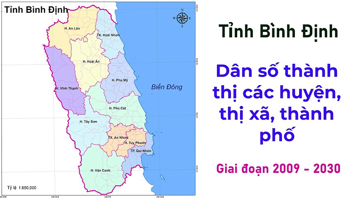 Tỉnh bình định có bao nhiêu thị xã năm 2024