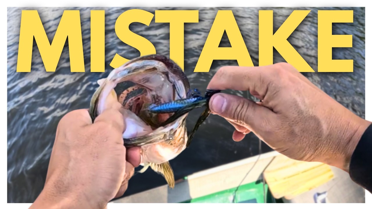 You're Not Catching Summer Bass Because of This Mistake
