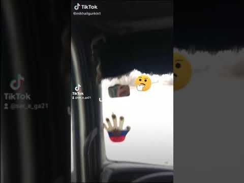 Проверка тахографа