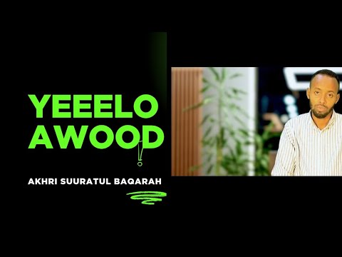 Guriga Lagu Akhriyo Suuraddan Wuxuu Noqdaa Guri Barakeysan Oo Shaydaan Ka Fog Yahay