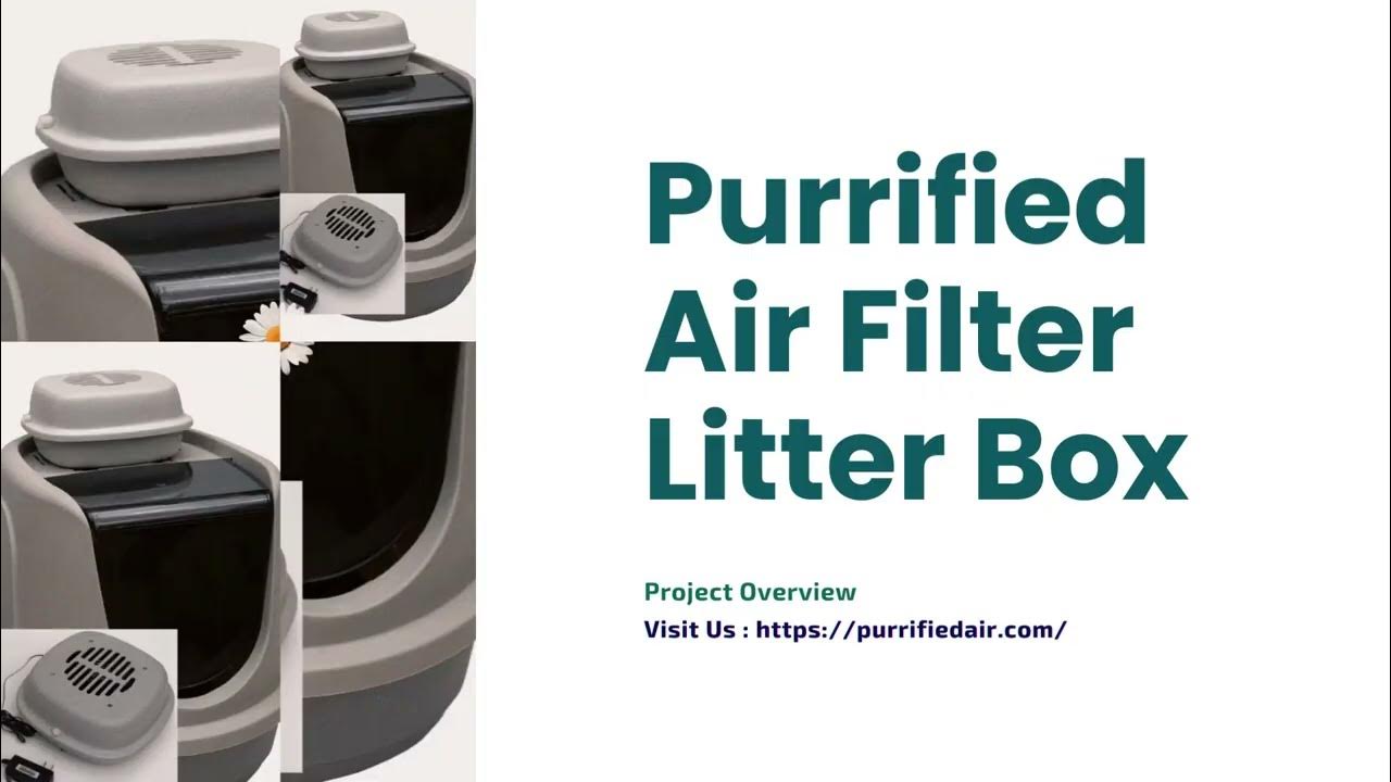 Purified Air Filter Purified Air Filter Litter Box Purified Air