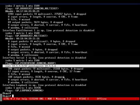Serial Network Interface