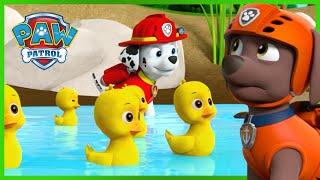 Marshall rettet den Ententeich - PAW Patrol Germany - Cartoons für Kinder