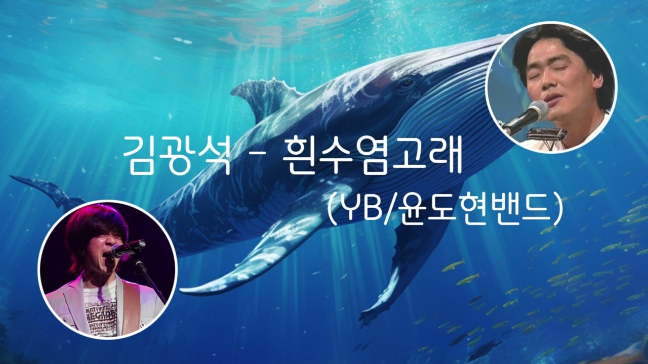 흰수염고래 (YB/윤도현밴드) - 김광석 AI 커버곡