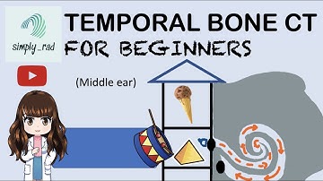 Temporal bone CT for the beginner