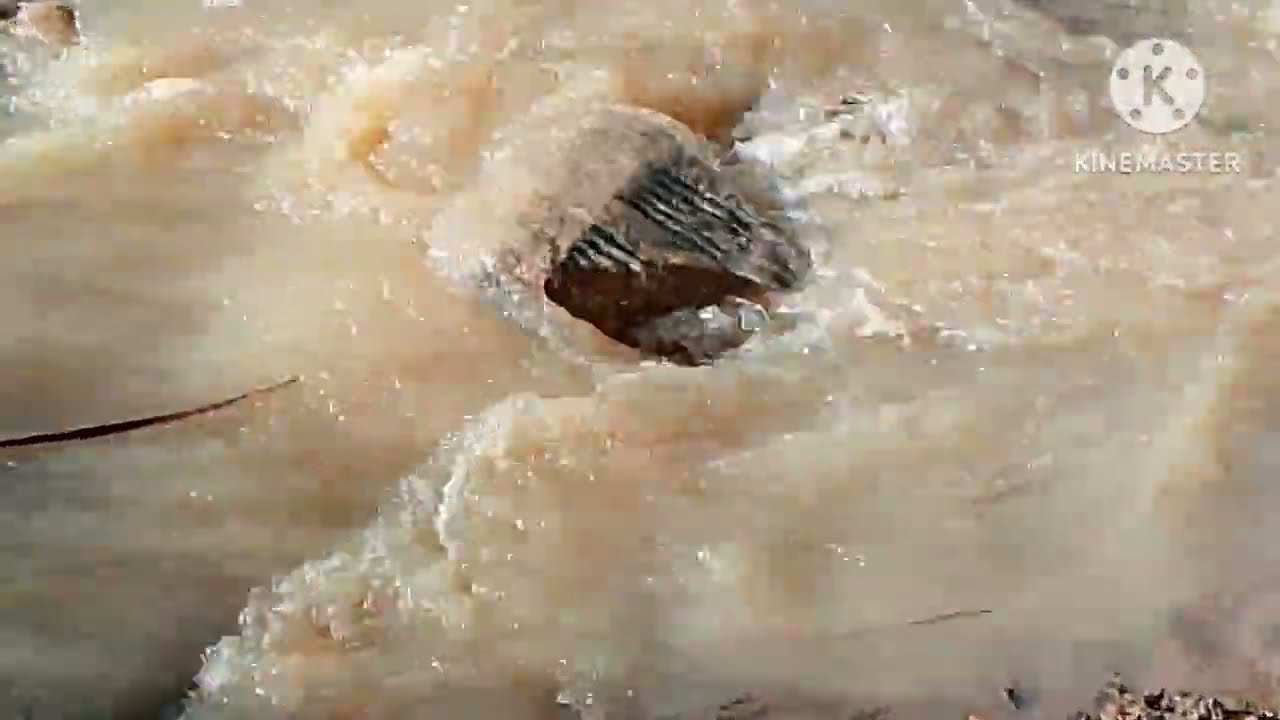 امطار الخير في ابن حسن #@