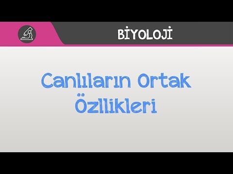 Yaşam Bilimi Biyoloji - Canlıların Ortak Özellikleri