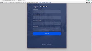 pop up log in and sing up screen(page on load)