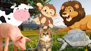 The most mischievous animals: monkeys, cats, lions, cows, dogs,... by Animal Moments 19,929 views 1 year ago 18 minutes