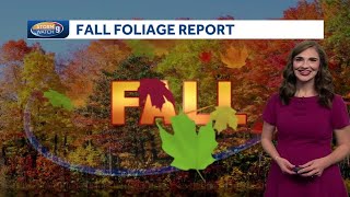New Hampshire foliage map: Peak color in many locations