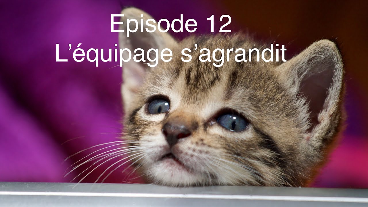 EP12 L'équipage s'agrandit