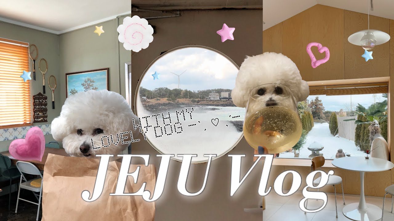 Jeju vlog ep.1  강아지 동반 내 취향대로 제주도 여행 │  나만 알고 싶지 않은 애견동반 맛집, 숙소, 카페