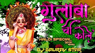 gulabachi kali bagha haldin makhali tapori tasha mix || dj gaurav star